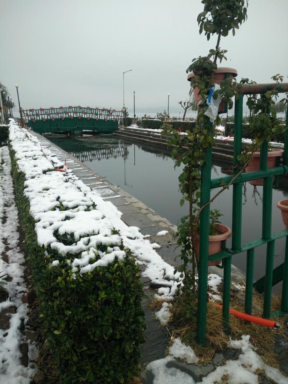 Houseboat Young Snow View Front Line Dal Lake Srīnagar Dış mekan fotoğraf